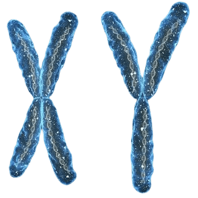 南京捐卵联系方式